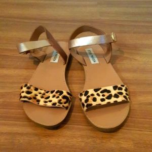 Steve Madden Leapard Sandals